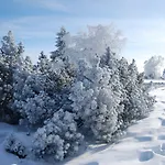 Hotel Forsthaus Winterberg