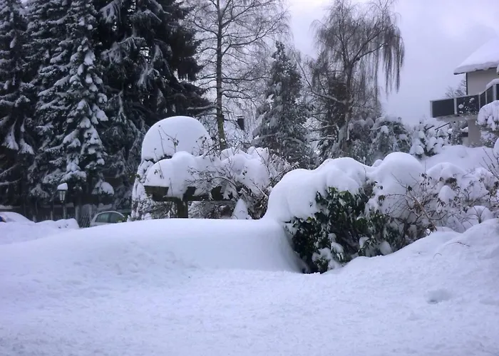 فندق Forsthaus وينتربرغ