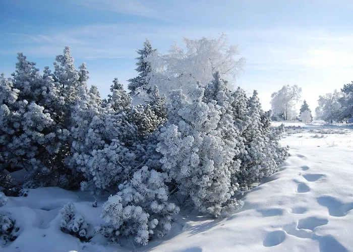 Hotel Forsthaus Winterberg