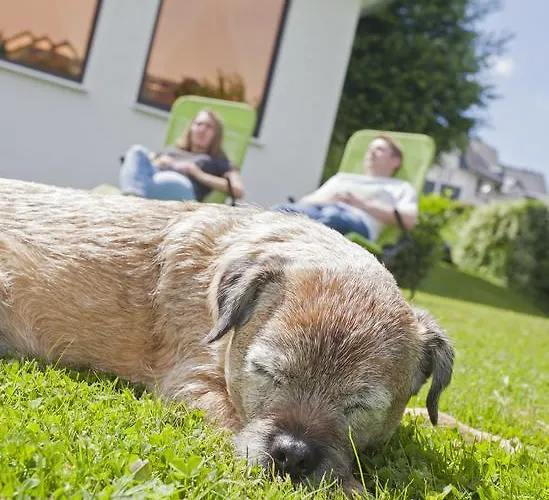 فندق Forsthaus وينتربرغ